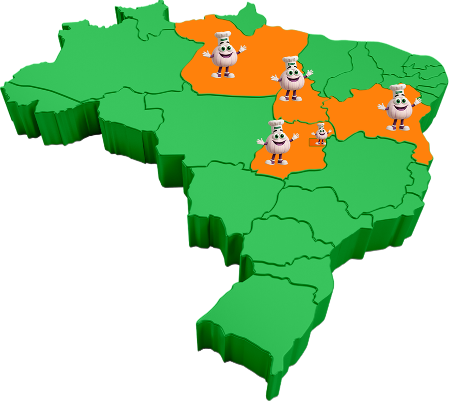 Mapa do Brasil com Tocantins, Pará, Maranhão, Piauí e Goiás/DF destacados